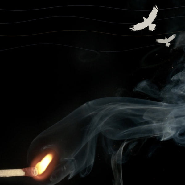 Don't Lose the Spark
