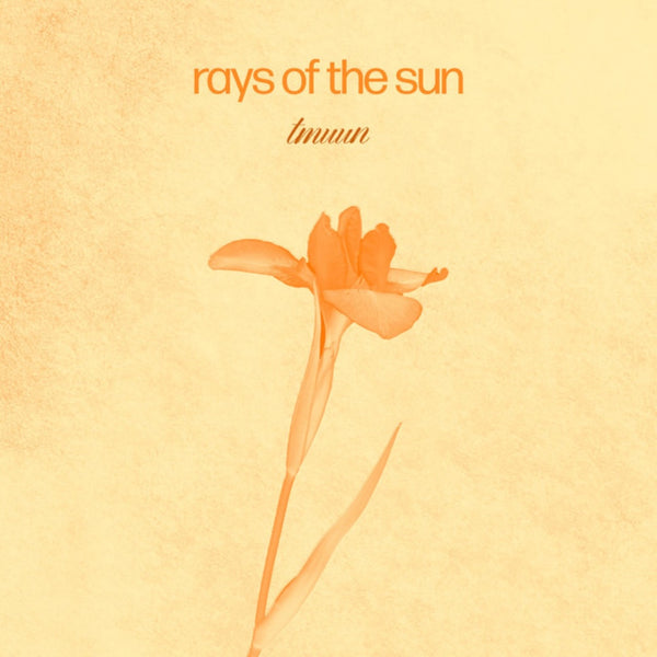 Rays of the Sun